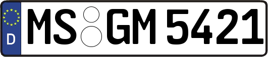 MS-GM5421