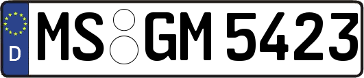 MS-GM5423