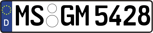 MS-GM5428