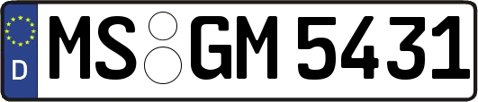 MS-GM5431