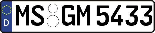 MS-GM5433