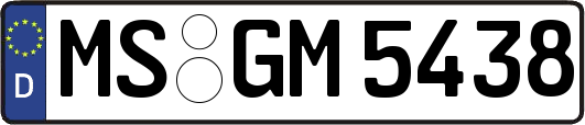 MS-GM5438
