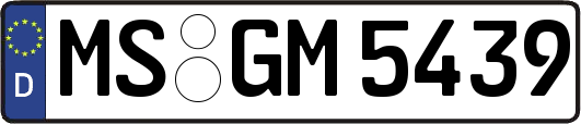 MS-GM5439