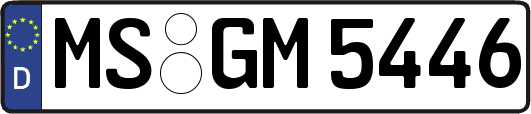 MS-GM5446