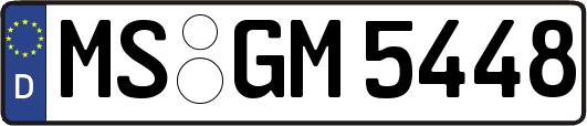 MS-GM5448