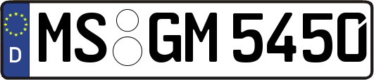 MS-GM5450
