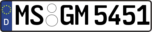MS-GM5451