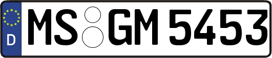 MS-GM5453