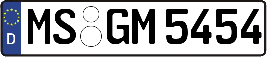 MS-GM5454