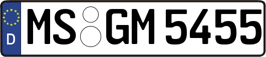 MS-GM5455
