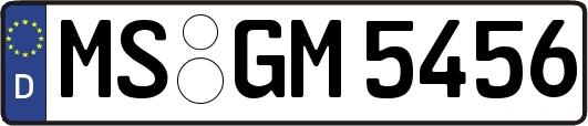 MS-GM5456