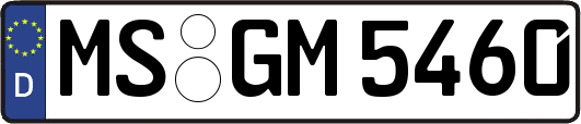 MS-GM5460
