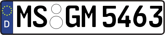 MS-GM5463