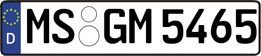 MS-GM5465