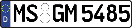MS-GM5485