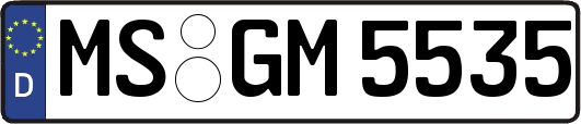 MS-GM5535