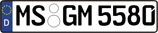 MS-GM5580