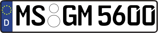 MS-GM5600
