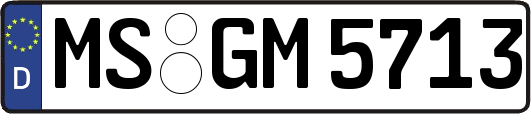 MS-GM5713