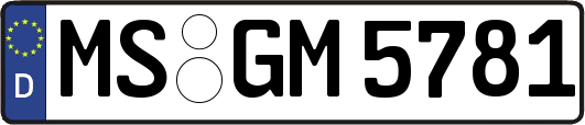MS-GM5781