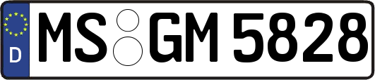 MS-GM5828