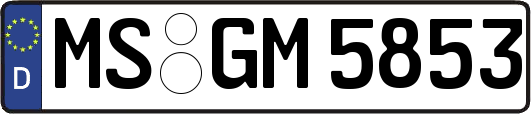 MS-GM5853