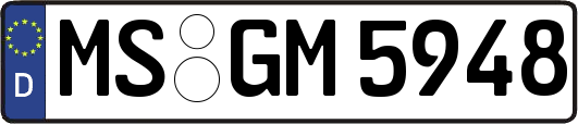 MS-GM5948