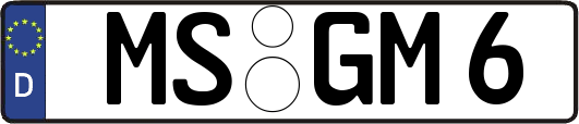 MS-GM6