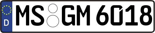 MS-GM6018