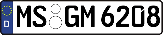 MS-GM6208