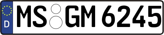 MS-GM6245