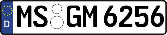 MS-GM6256