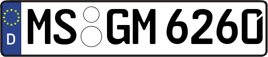 MS-GM6260