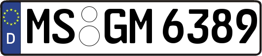 MS-GM6389