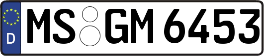 MS-GM6453