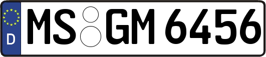 MS-GM6456