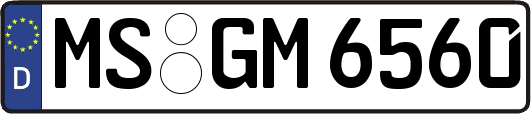 MS-GM6560