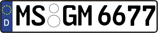 MS-GM6677