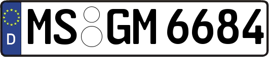 MS-GM6684