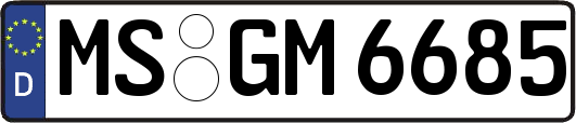 MS-GM6685