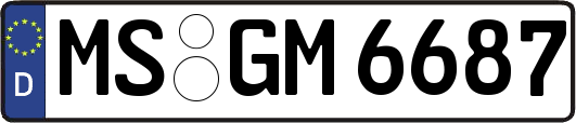 MS-GM6687