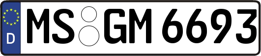 MS-GM6693