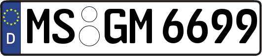 MS-GM6699