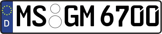 MS-GM6700