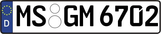 MS-GM6702