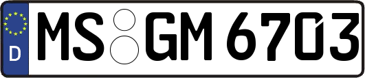 MS-GM6703