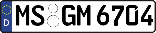 MS-GM6704