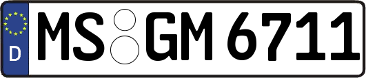 MS-GM6711