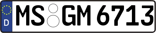 MS-GM6713