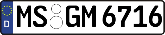 MS-GM6716